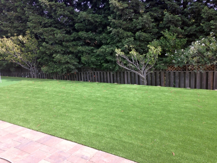 Artificial Lawn Mountain Center, California Landscape Photos, Beautiful Backyards
