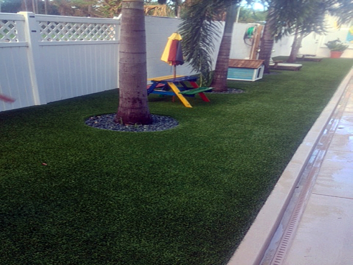 Artificial Lawn Wildomar, California Home And Garden, Backyard Landscaping