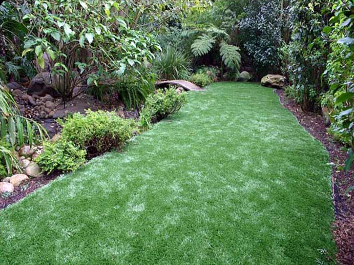 Artificial Turf Alpine Village, California Garden Ideas, Backyard Landscaping
