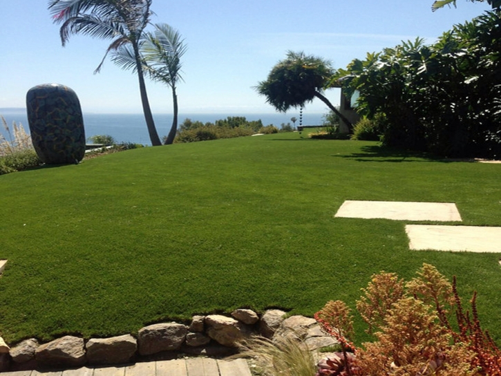 Artificial Turf Cherry Valley, California Backyard Playground, Commercial Landscape