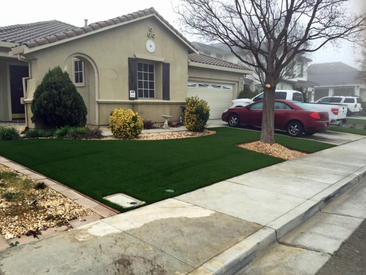 Artificial Turf Cost Canyon Lake, California Landscape Design, Front Yard Design