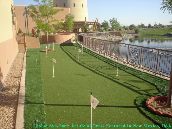 Artificial Turf Cost Desert Edge, California Indoor Putting Green, Beautiful Backyards