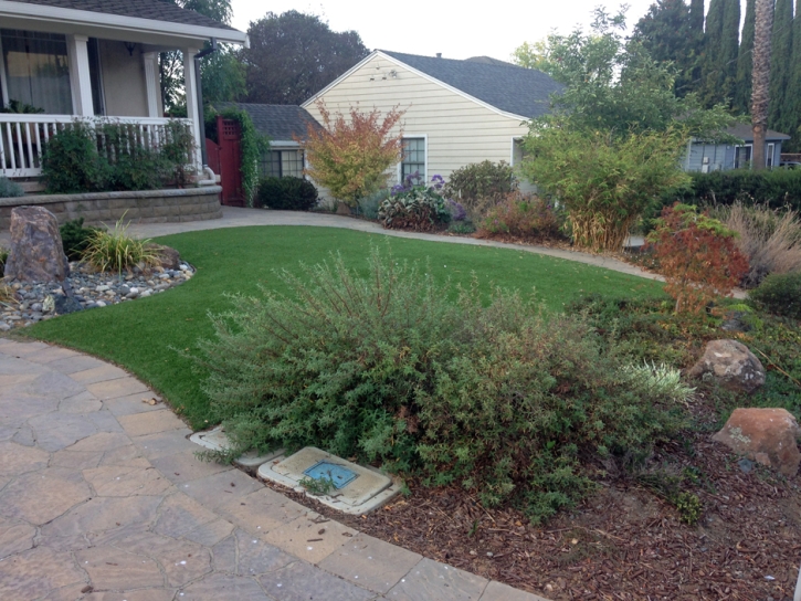 Artificial Turf Cost Lakeview, California Paver Patio, Front Yard Landscaping