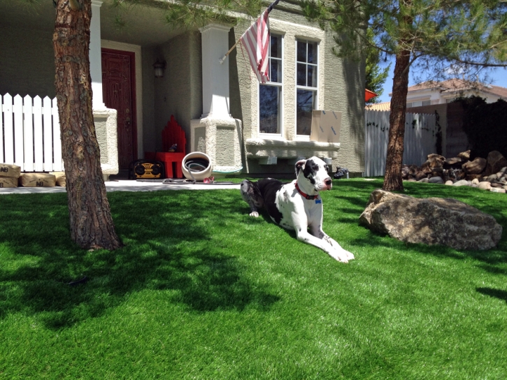 Artificial Turf Cost Oasis, California Landscaping, Dogs