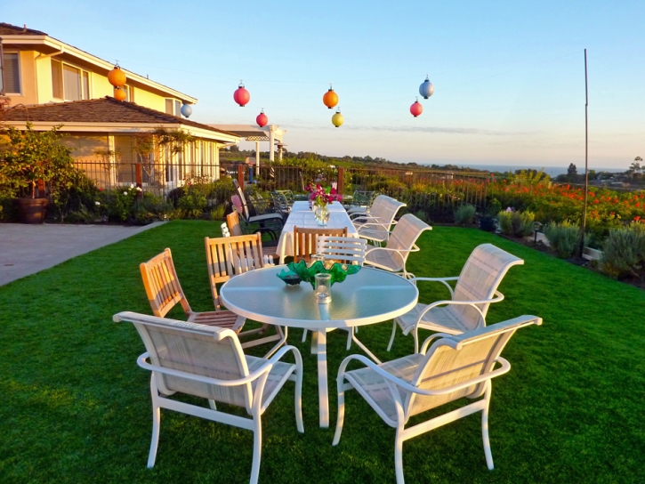 Artificial Turf East Blythe, California Landscape Photos, Backyard Ideas