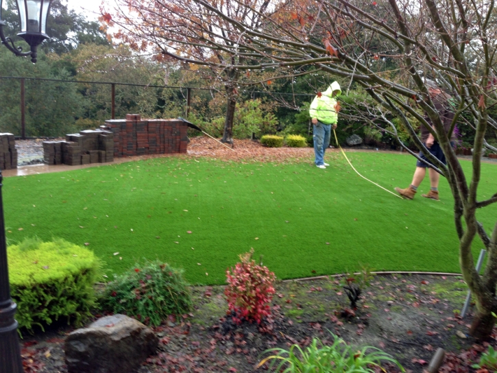 Artificial Turf El Cerrito, California City Landscape, Backyard Garden Ideas