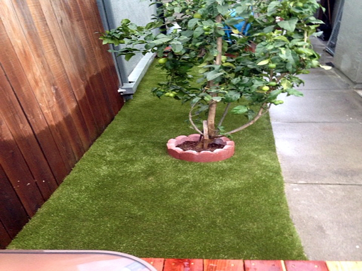 Artificial Turf Idyllwild-Pine Cove, California Pet Paradise, Backyard