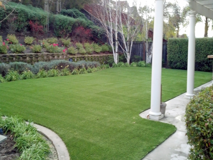 Artificial Turf Installation Glen Avon, California Landscape Photos, Backyard Landscaping Ideas