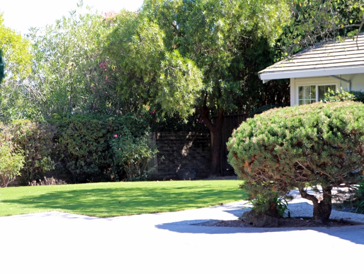 Artificial Turf Installation San Jacinto, California Garden Ideas, Front Yard Design
