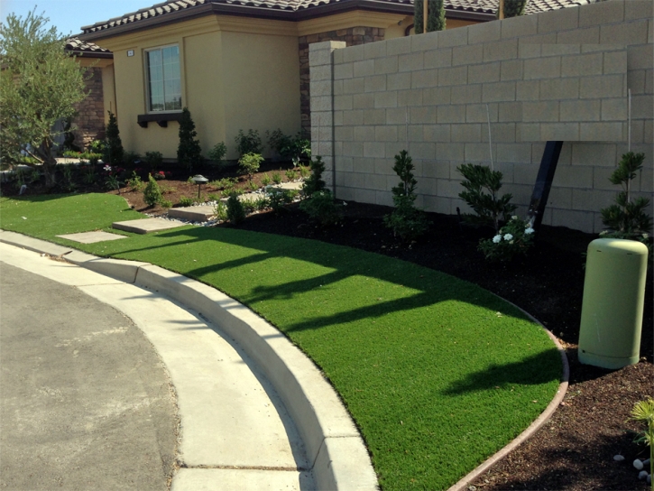 Artificial Turf Sky Valley, California Lawn And Landscape, Front Yard Landscape Ideas