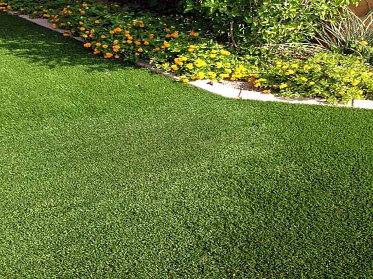 Best Artificial Grass Green Acres, California City Landscape, Landscaping Ideas For Front Yard