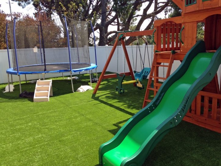 Best Artificial Grass Idyllwild, California Gardeners, Backyard Makeover