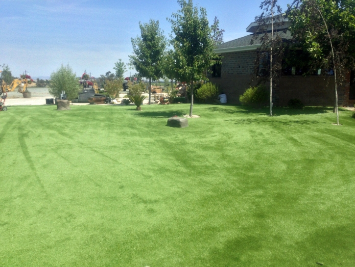 Best Artificial Grass Lakeland Village, California Hotel For Dogs, Parks