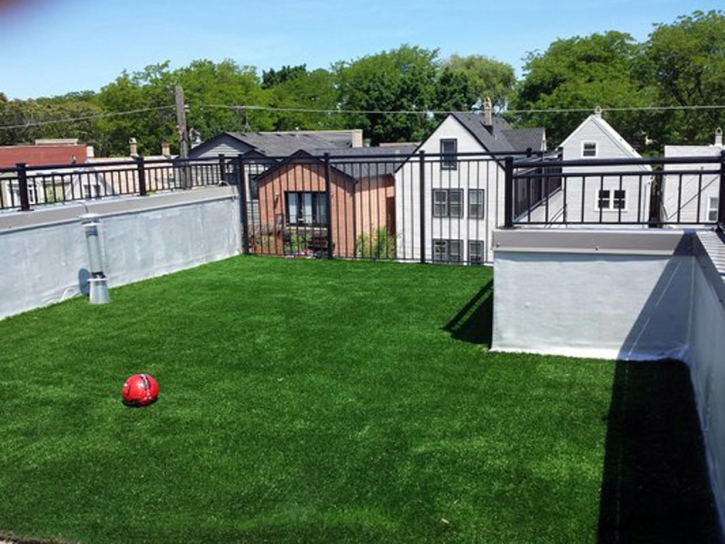 Best Artificial Grass Wildomar, California Dog Run, Deck