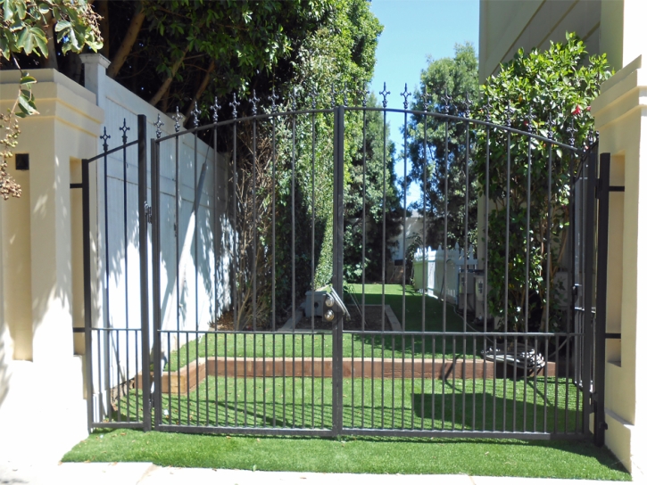 Fake Grass Aguanga, California Landscaping Business, Small Front Yard Landscaping