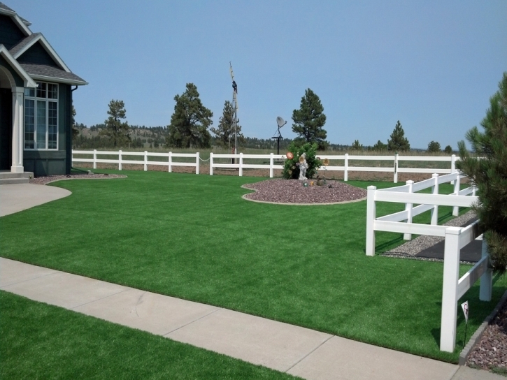 Fake Grass Bermuda Dunes, California Backyard Playground, Backyard Landscape Ideas