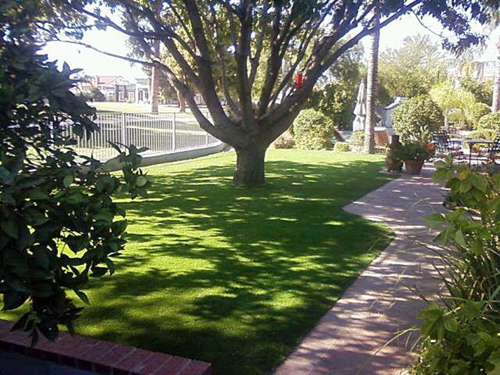 Fake Grass Carpet Alpine Village, California Landscape Ideas