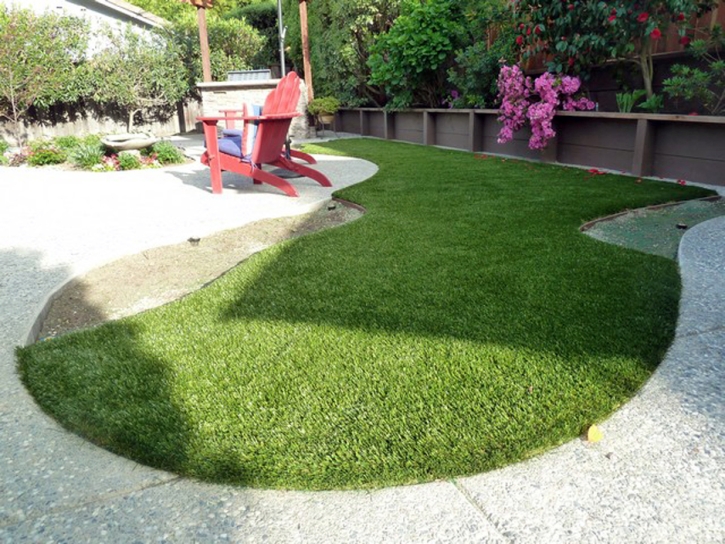 Fake Grass Carpet Lake Elsinore, California Pictures Of Dogs, Small Backyard Ideas