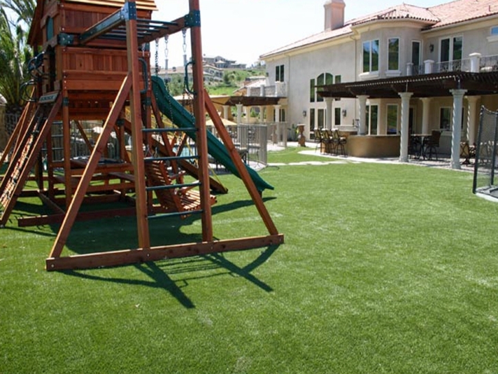 Fake Grass Carpet Moreno Valley, California Indoor Playground, Backyard Design