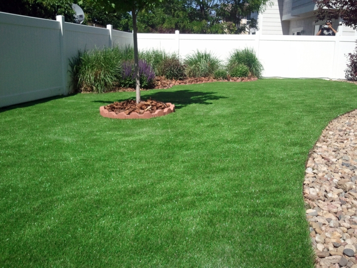 Fake Grass Carpet Nuevo, California Landscape Rock, Backyard Design