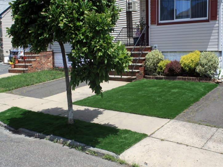 Fake Grass Carpet Ripley, California Design Ideas, Front Yard Landscaping