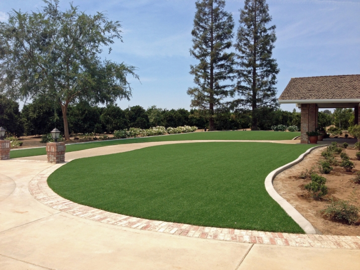 Fake Grass East Blythe, California Landscaping, Small Front Yard Landscaping