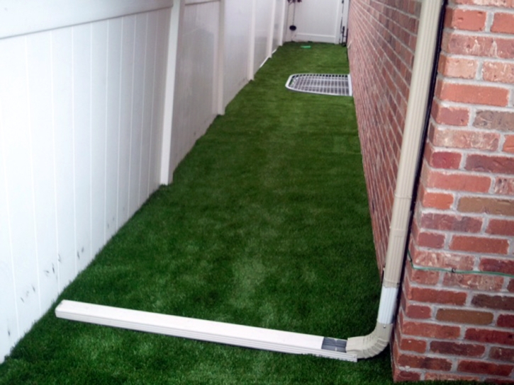 Fake Grass Lakeview, California Rooftop, Backyard Design