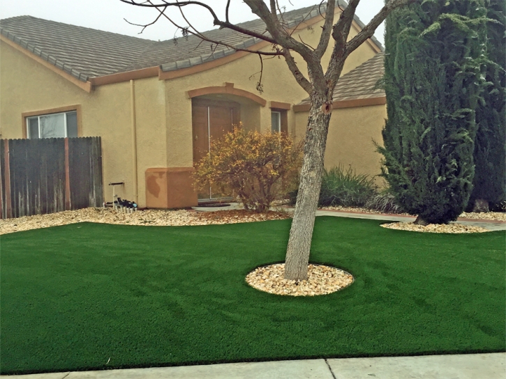 Fake Grass Mead Valley, California Roof Top, Small Front Yard Landscaping