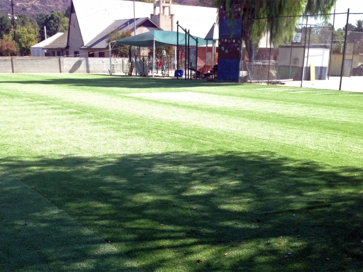 Fake Grass Valle Vista, California Home And Garden, Parks