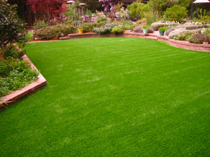 Fake Lawn Anza, California Landscaping, Backyard Design