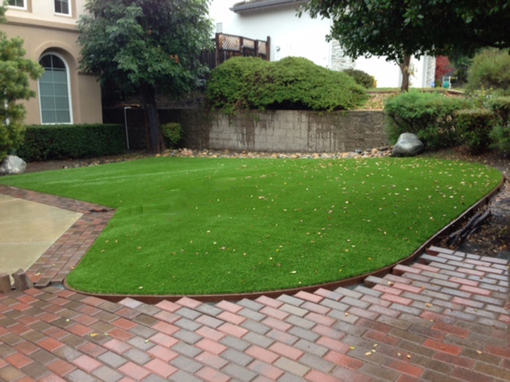 Fake Lawn Banning, California Gardeners, Front Yard