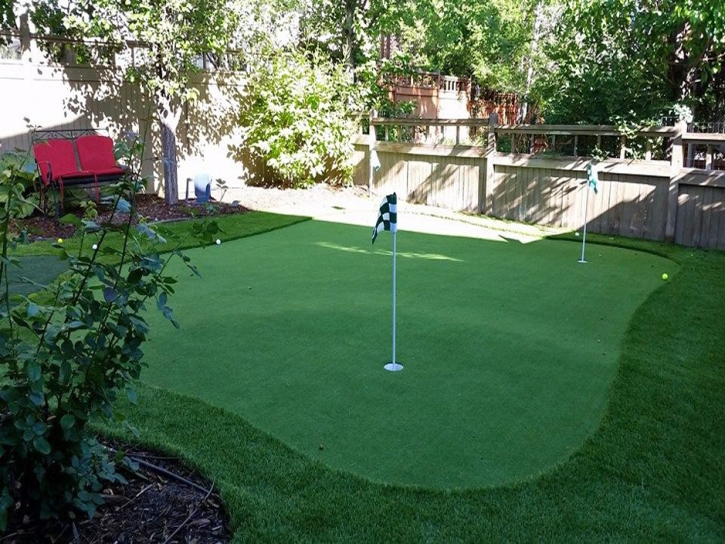 Fake Lawn Corona, California Indoor Putting Green, Small Backyard Ideas