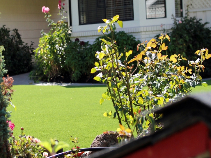 Fake Lawn Desert Center, California Garden Ideas, Front Yard Landscape Ideas