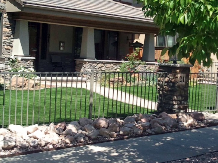 Fake Lawn East Blythe, California Rooftop, Front Yard Landscape Ideas