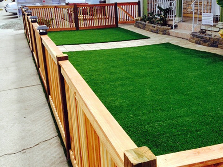 Fake Lawn Idyllwild-Pine Cove, California City Landscape, Front Yard Landscape Ideas