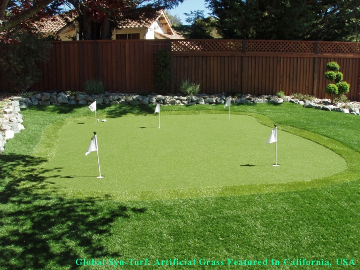 Fake Lawn Idyllwild-Pine Cove, California Landscape Design, Small Backyard Ideas