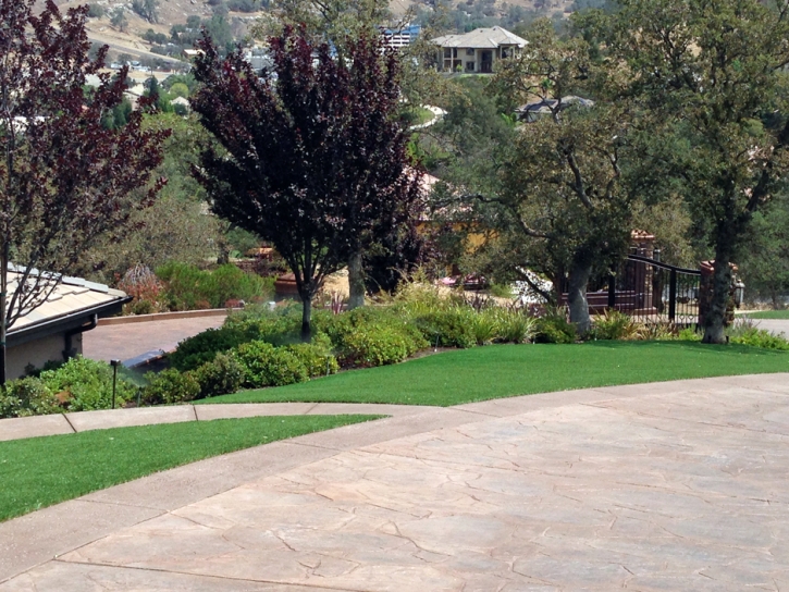 Fake Lawn Indio, California Backyard Deck Ideas, Front Yard Design