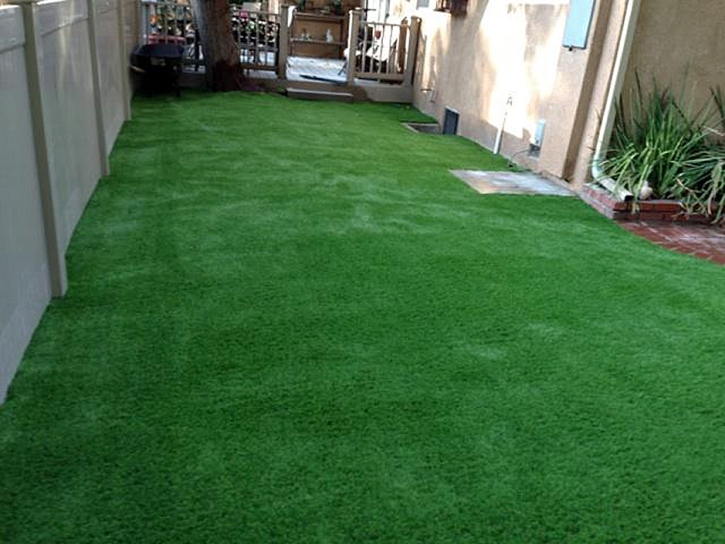 Fake Lawn Menifee, California Backyard Playground, Backyard Landscape Ideas
