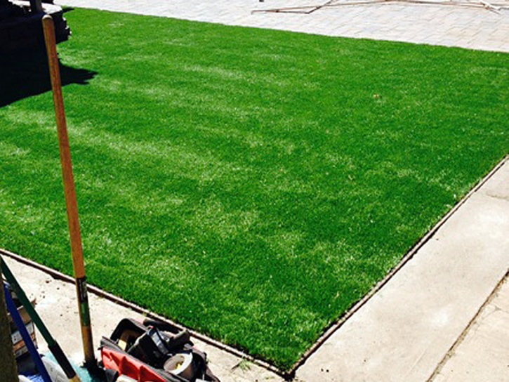 Fake Lawn Mesa Verde, California Landscape Ideas