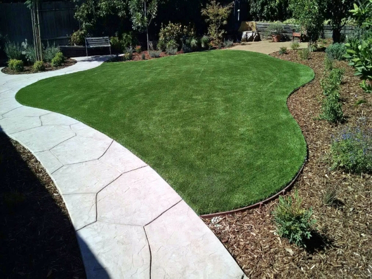 Fake Lawn Murrieta Hot Springs, California Rooftop, Front Yard Landscape Ideas