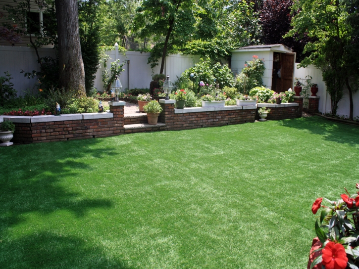 Fake Lawn Nuevo, California Gardeners, Backyard Landscaping Ideas