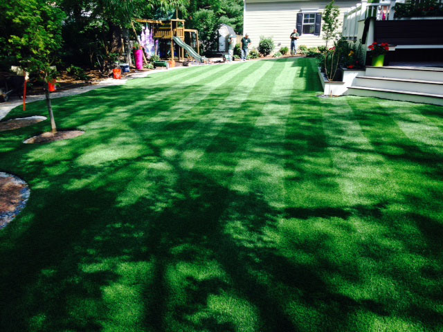 Fake Turf Green Acres, California Lawns, Backyard Makeover