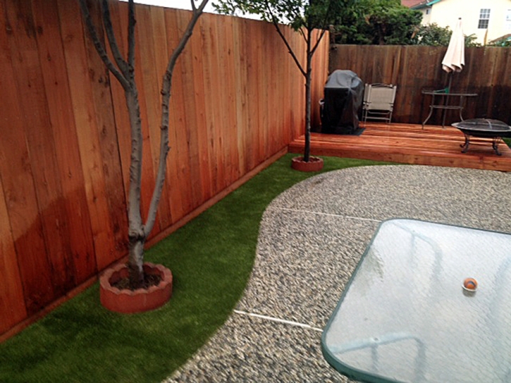 Fake Turf Idyllwild, California Backyard Playground, Backyard Landscape Ideas