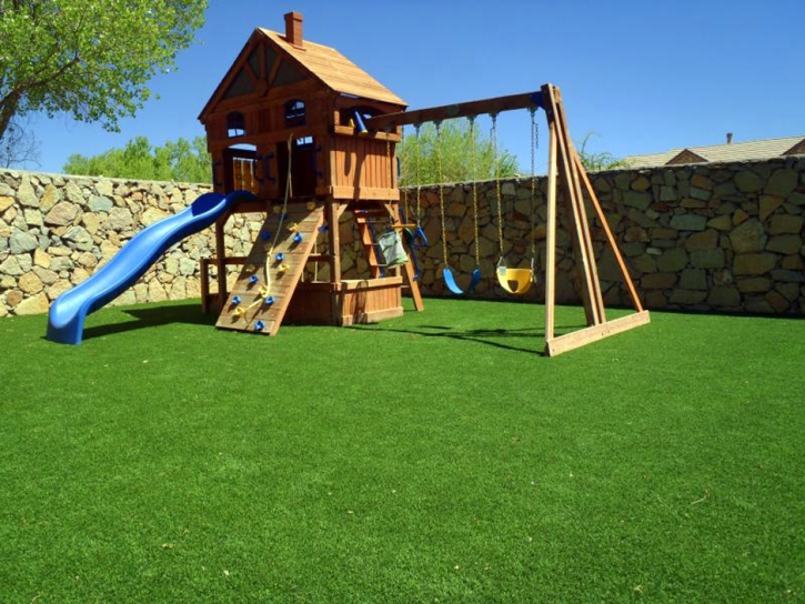 Fake Turf Indio Hills, California Kids Indoor Playground, Backyard Garden Ideas