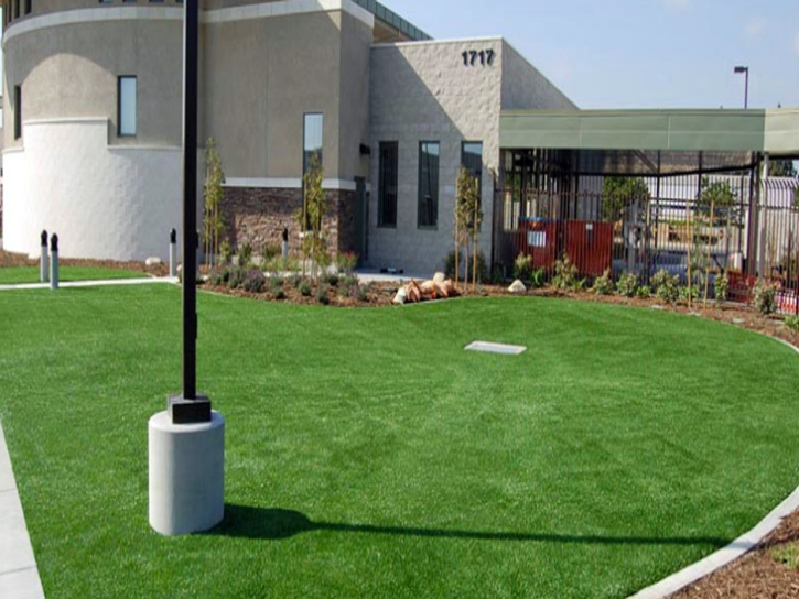 Faux Grass Beaumont, California Gardeners, Commercial Landscape