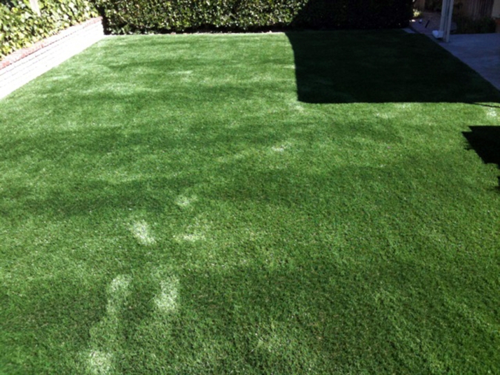 Faux Grass Blythe, California Dog Running, Backyard Designs