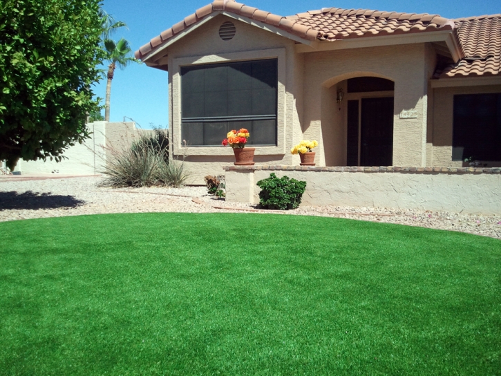 Faux Grass Idyllwild-Pine Cove, California Lawns, Front Yard Ideas
