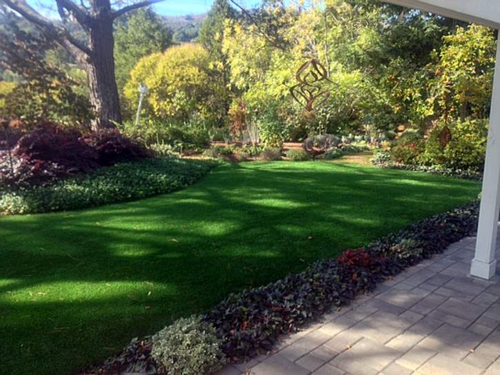 Faux Grass Nuevo, California Paver Patio, Backyard Ideas