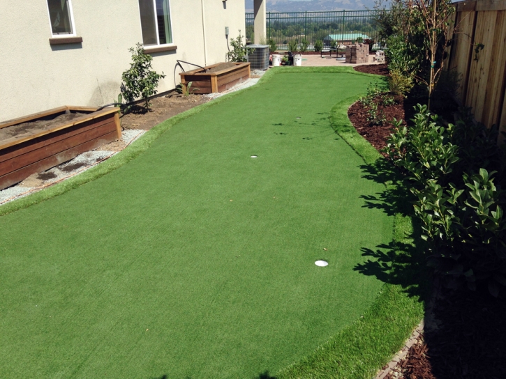 Faux Grass Pedley, California Paver Patio, Backyard Design