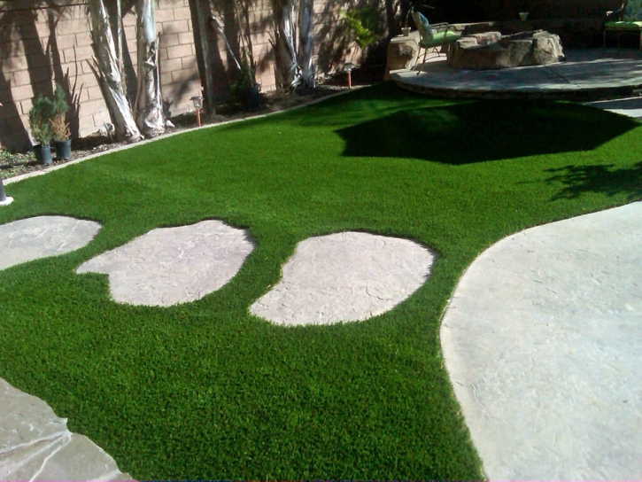 Faux Grass Sunnyslope, California Garden Ideas, Small Backyard Ideas